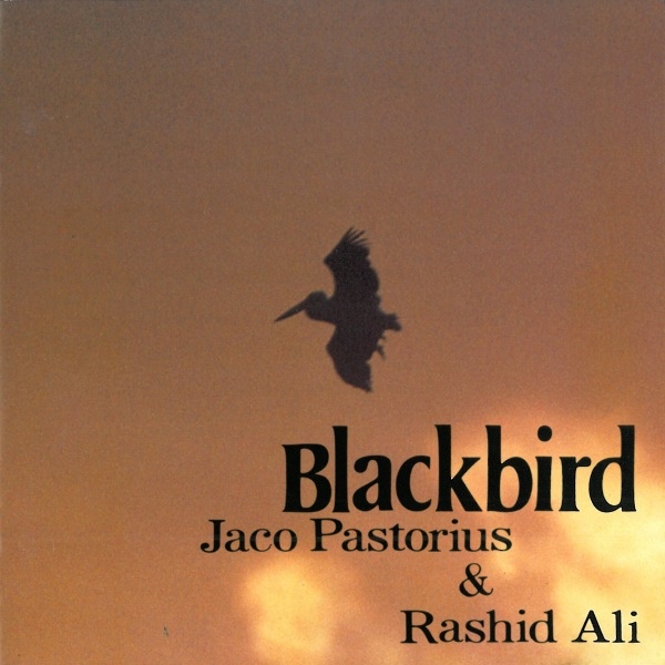JacoPastorius1984-12-19BlackbirdBootCDParisFrance (2).jpg